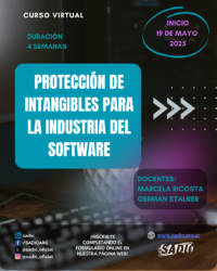 Protección de Intangibles para la industria del software